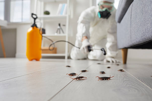 Post-Treatment Bed Bug Interceptor Monitoring in Chestertown